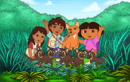 Даша-путешественница