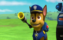 Щенячий патруль