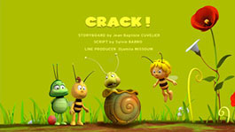 Хрупкая защита