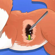 Игра Доктор для животных для девочек