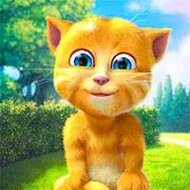 Игра Говорящий кот рыжик