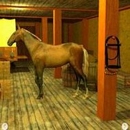 Игра Найди выход ферма