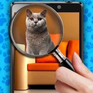 Игра Найди кота ио