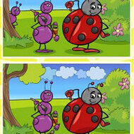 Игра Насекомые: поиск отличий