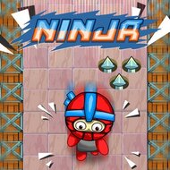 Игра Ниндзя 4