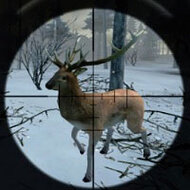 Игра Охота на зверей