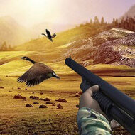 Игра Охотник на Птиц