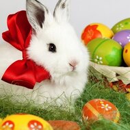 Игра Пасха: пазлы пятнашки