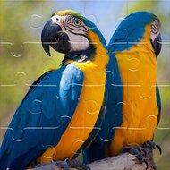 Игра Пазлы Делюкс