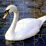 Игра Пазлы лебеди