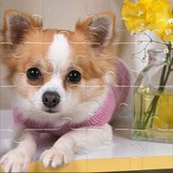 Игра Пазлы собирать щенят