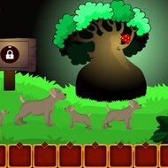 Игра Побег из кемпинга