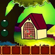 Игра Побег попугая 2