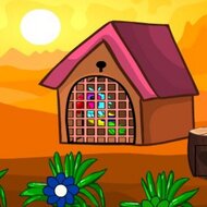 Игра Побег попугая из Солнечной страны