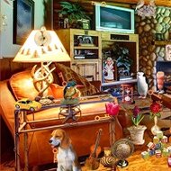 Игра Поиск предметов в доме