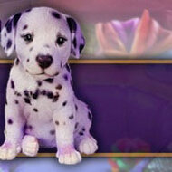 Игра Потерянные питомцы