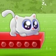 Игра Про кошек и котят