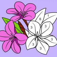 Игра Раскраски по номерам 2