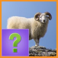 Игра Развивающие пазлы для малышей