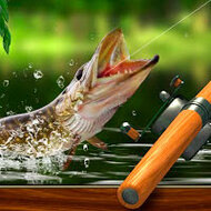 Игра Рыбалка с Берега