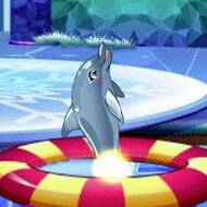 Игра Шоу дельфинов 8