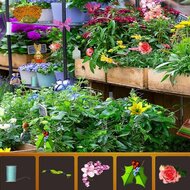 Игра Скрытые цветы