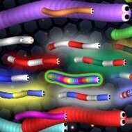 Игра Слизарио червячки