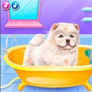 Игра Спа салон чау-чау