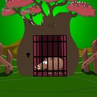 Игра Спасение кабана