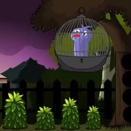 Игра Спасение птицы