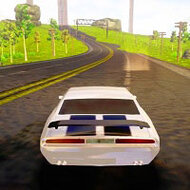 Игра Сумасшедший водитель