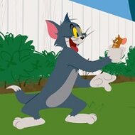 Игра Том и Джерри: матч пар