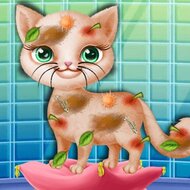 Игра Уход за бездомной кошкой