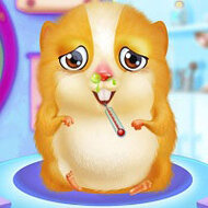 Игра Уход за домашним питомцем