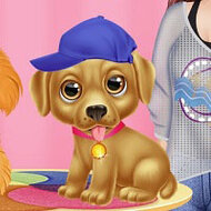 Игра Лучший салон для животных