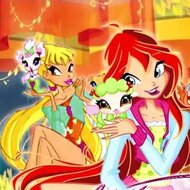 Игра Винкс: матч животных