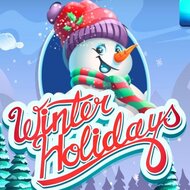 Игра Зимние каникулы: Матч 3