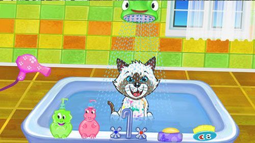 Игры Про котят