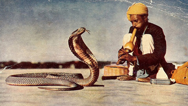 Слизарио. Музыка и песни