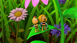 Солнечное затмение