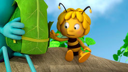 Стрекозиный экспресс