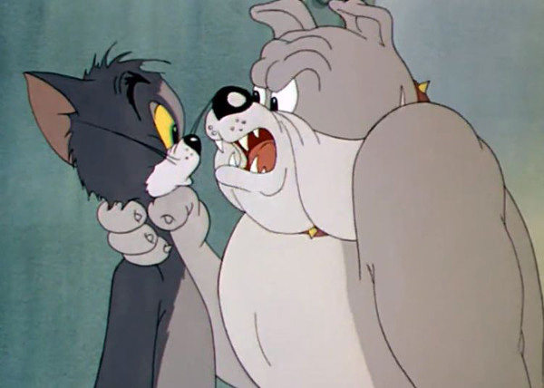 Спайк - сторожевой бульдог